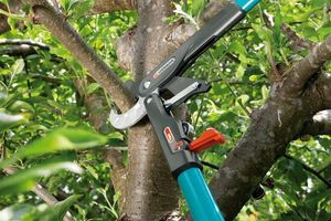 Правильно вибираємо інструмент для обрізання дерев у саду фото